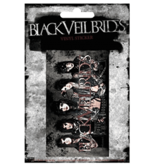 BLACK VEIL BRIDES - GROUP LAND